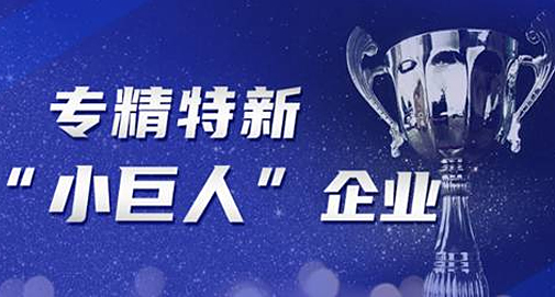 [喜報(bào)]熱烈祝賀我司獲得深圳“專(zhuān)精特新”企業(yè)榮譽(yù)稱(chēng)號(hào)